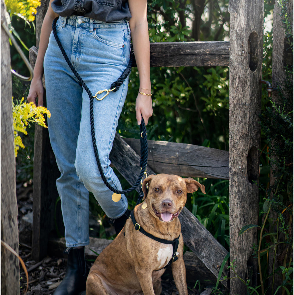 FMA 7ft leash balck and white