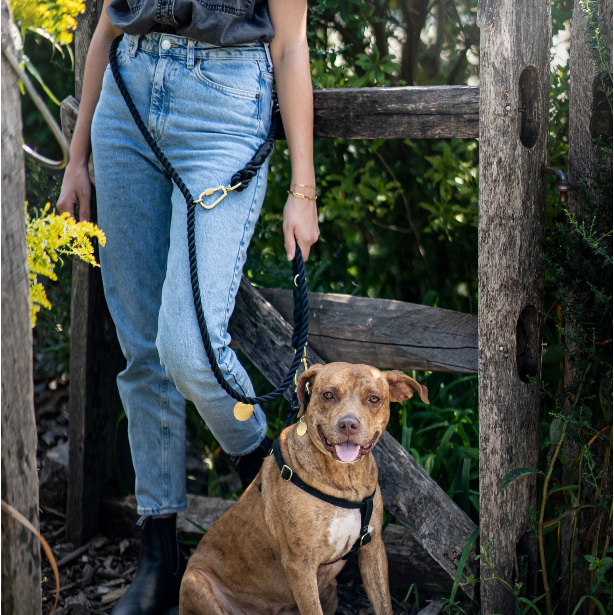 FMA 7ft ombre leash henri