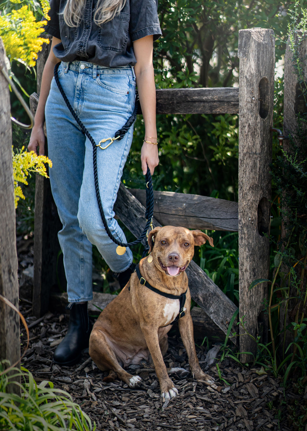 FMA 7ft ombre leash lois
