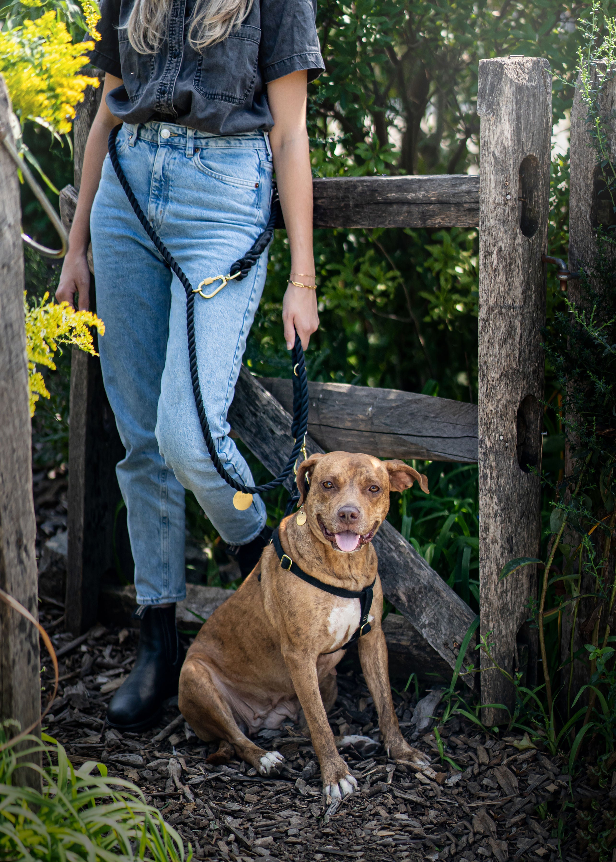 FMA 7ft ombre leash lois