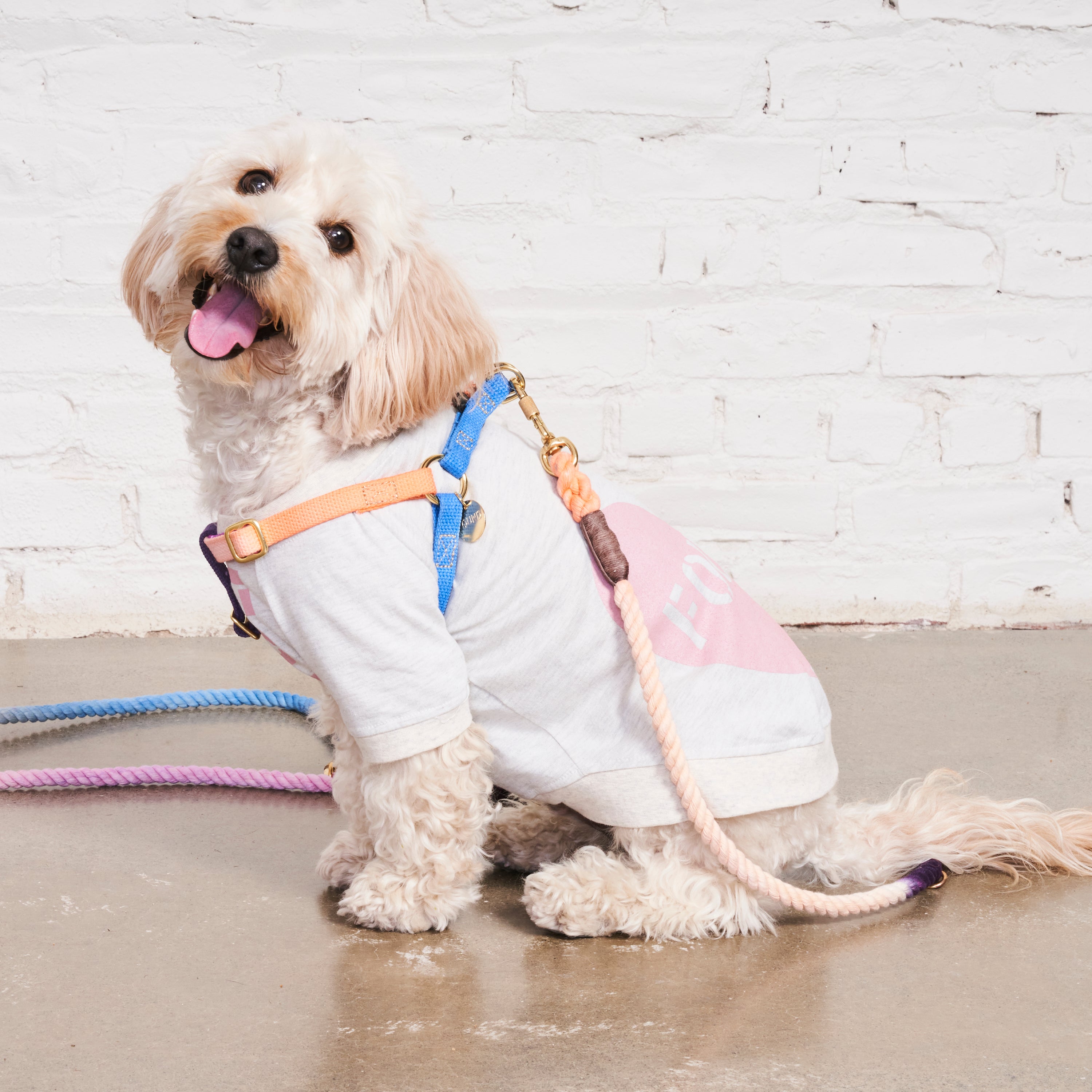 FMA full heart animal t-shirt heather gray mauve