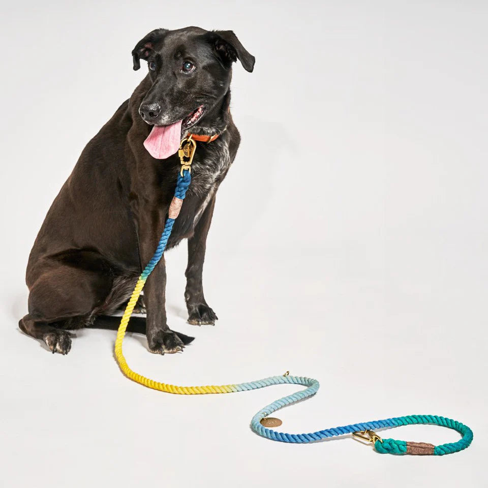 FMA 7ft ombre leash azure