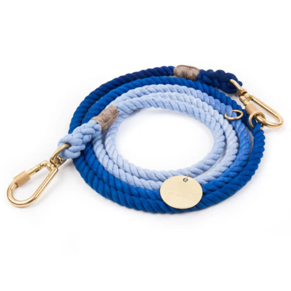FMA 7ft ombre leash latty blue