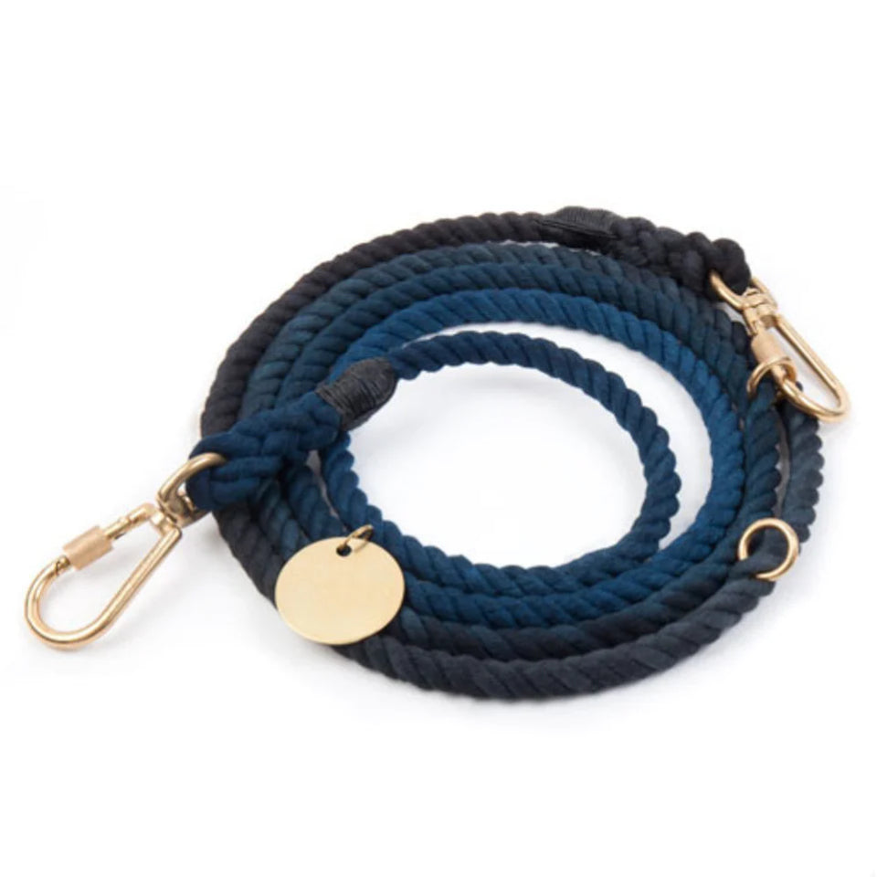 FMA 7ft ombre leash manhattan