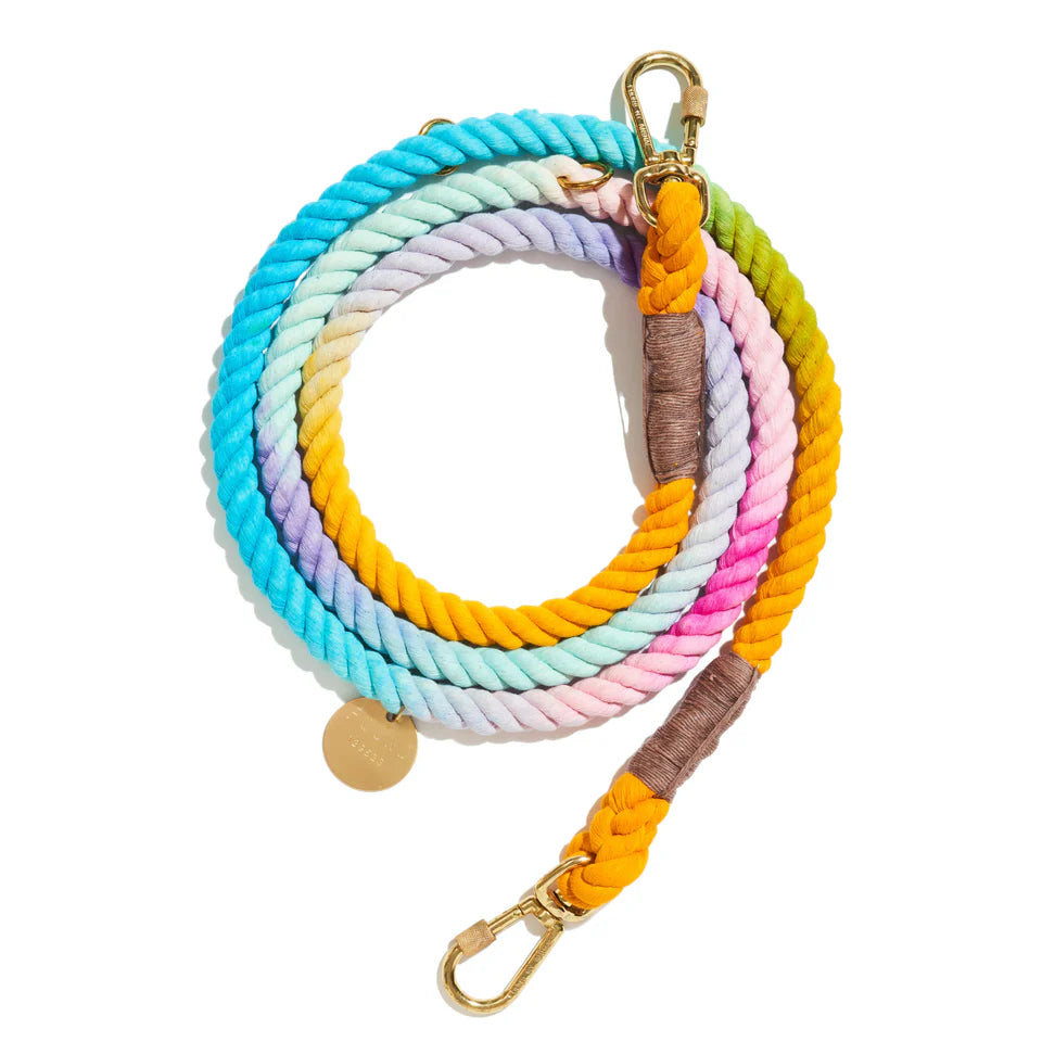 FMA 7ft ombre leash noelle