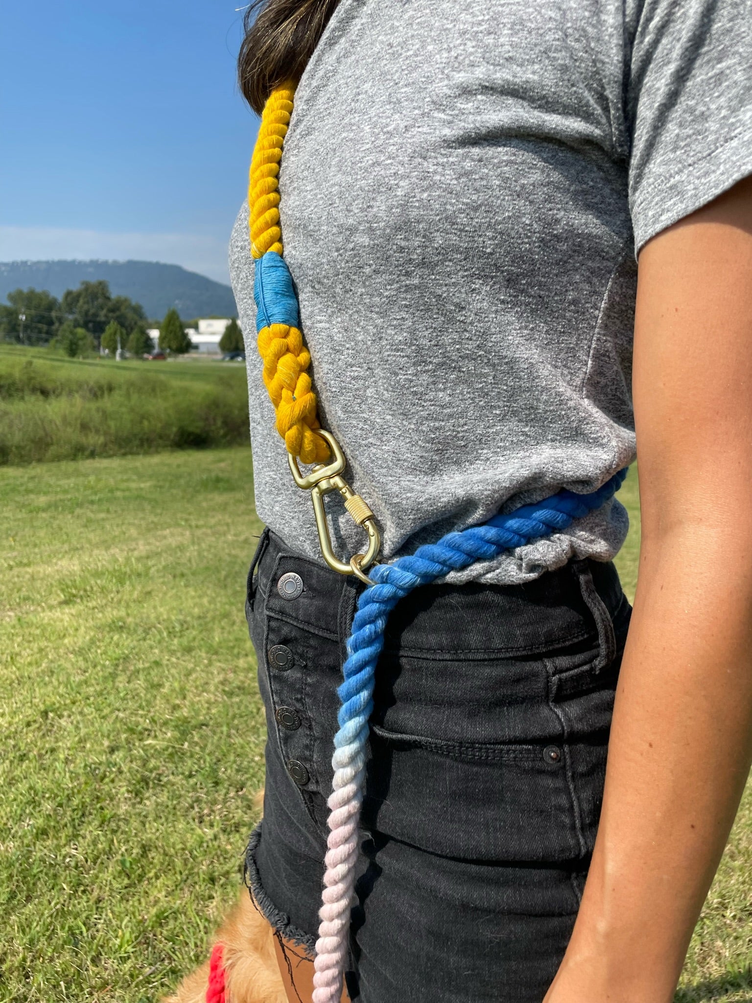 FMA 7ft ombre leash rosa