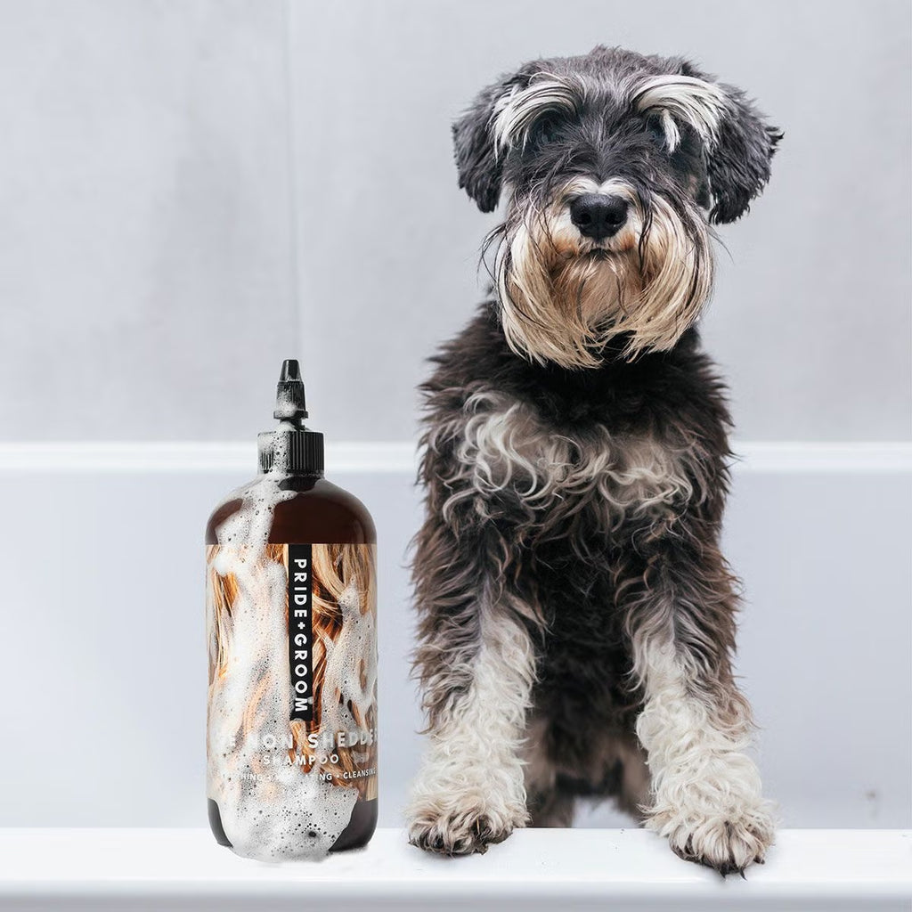 PRIDE＋GROOM ﾉﾝｼｪﾀﾞｰ ﾍﾟｯﾄｼｬﾝﾌﾟｰ 475ml