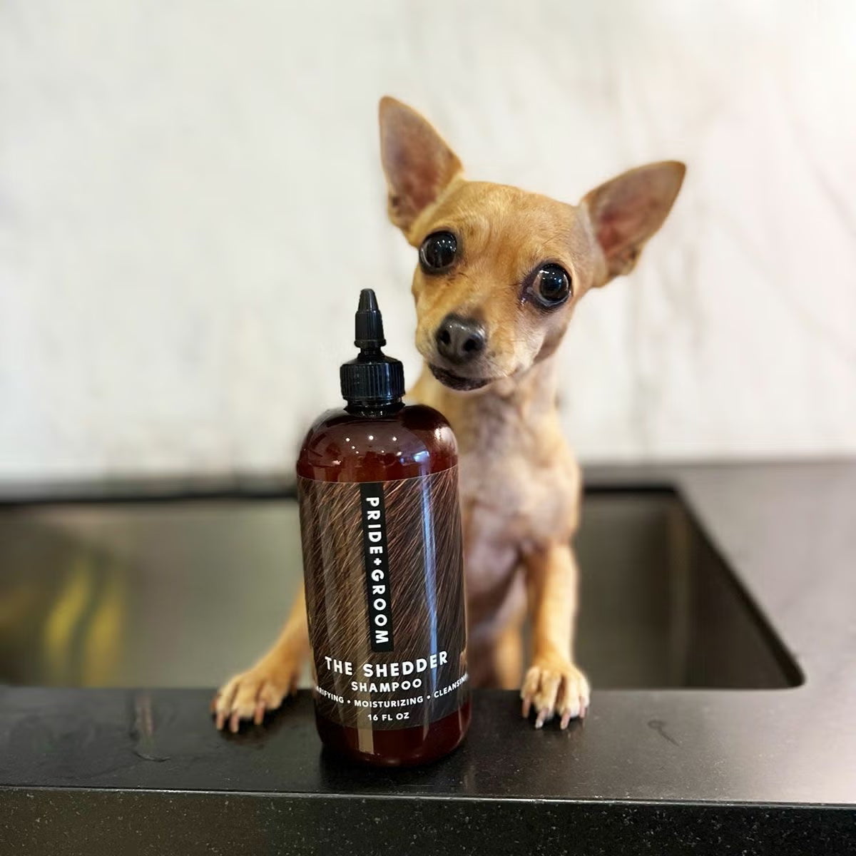 PRIDE＋GROOM ｼｪﾀﾞｰ ﾍﾟｯﾄｼｬﾝﾌﾟｰ 475ml