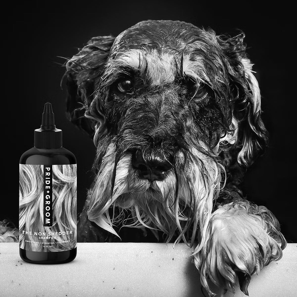 PRIDE＋GROOM  ﾉﾝｼｪﾀﾞｰ ﾍﾟｯﾄｼｬﾝﾌﾟｰ 355ml