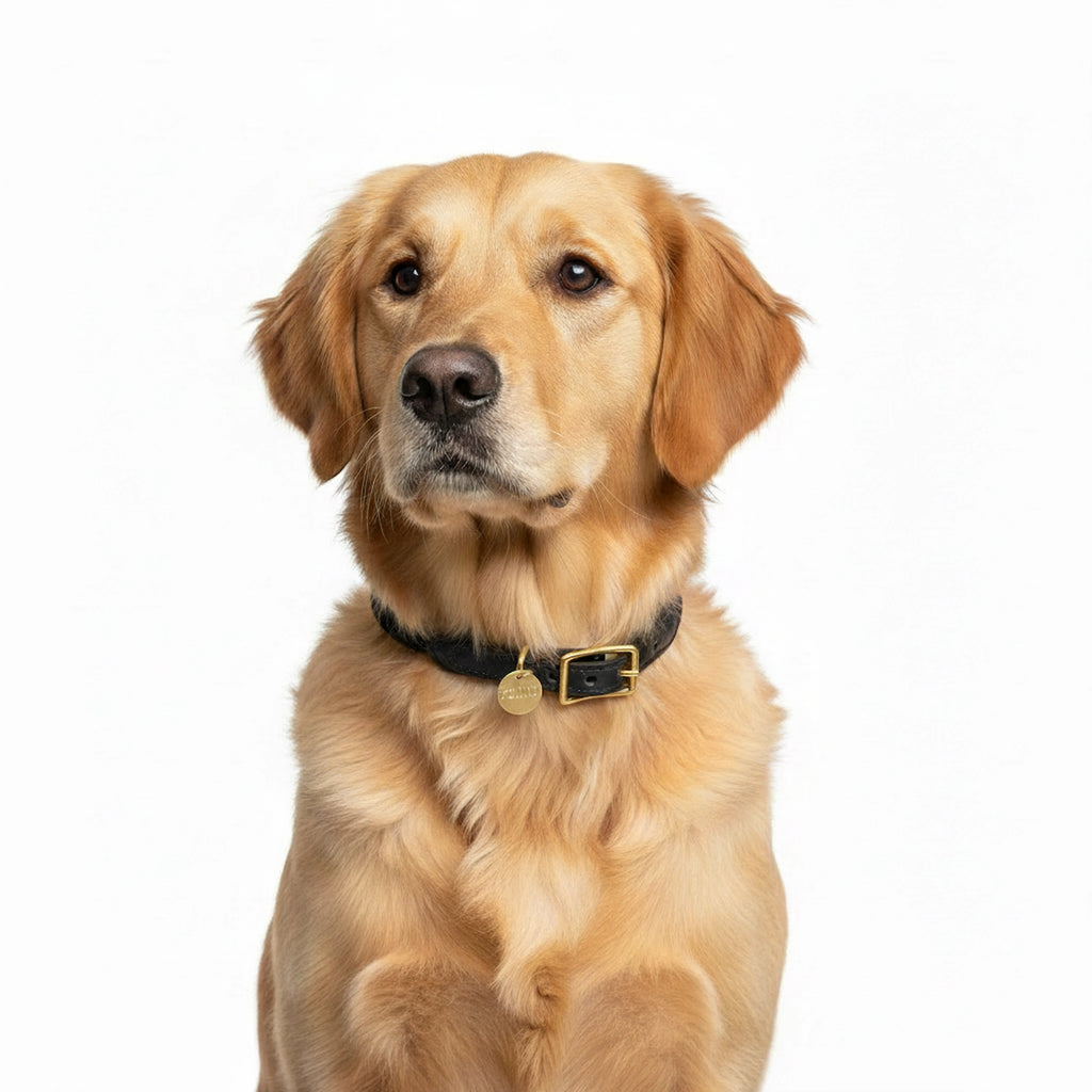 FMA Rope Collar Black