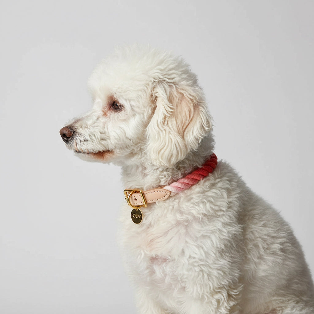 FMA Rope Ombre Collar Coral
