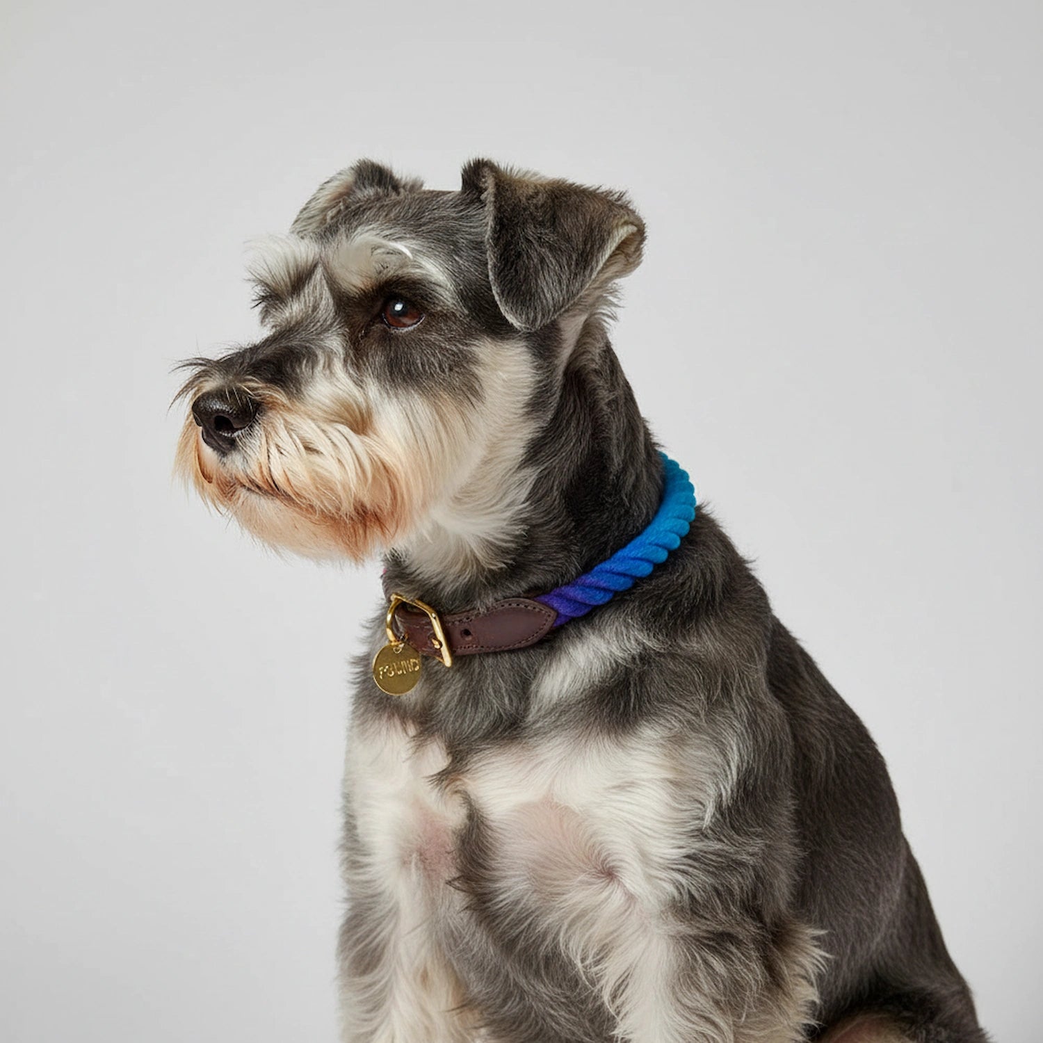 FMA Rope Ombre Collar Dark Multi